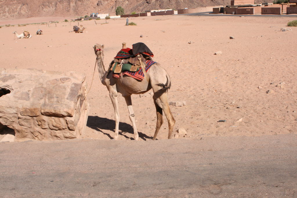 Wadi Rum